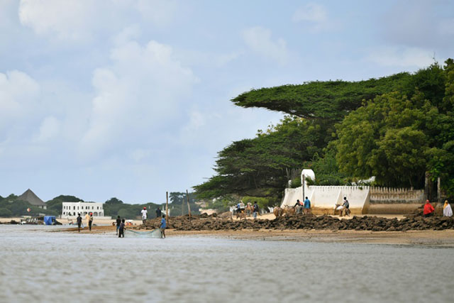 East Africa's first-ever coal-fired power plant had been planned near the Lamu archipelago. Photo: Tony Karumba - AFP