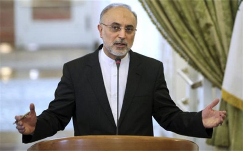 Head of the Atomic Energy Agency of Iran Ali Akbar Salehi