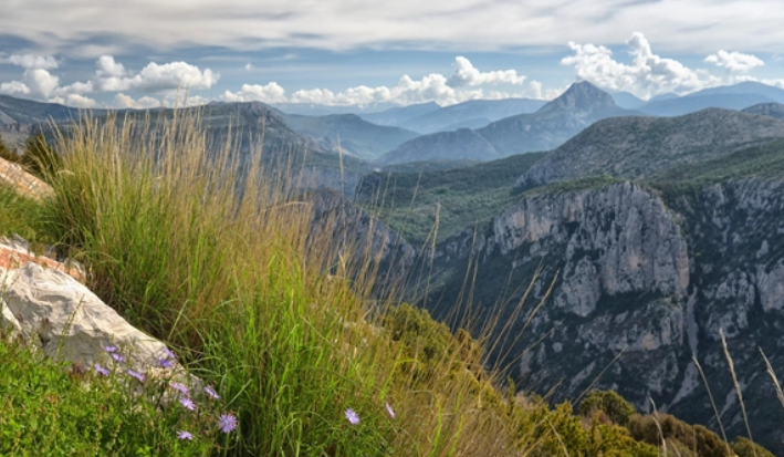 Bloc must take 'urgent action' to address climate emissions, biodiversity loss and natural resource use, warns European Environment Agency