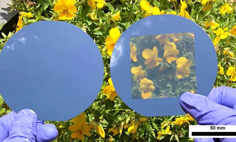 This photo depicts an opaque solar cell (left) compared to a neutral-colored transparent solar cell (right). Credit: Ulsan National Institute of Science and Technology (UNIST)