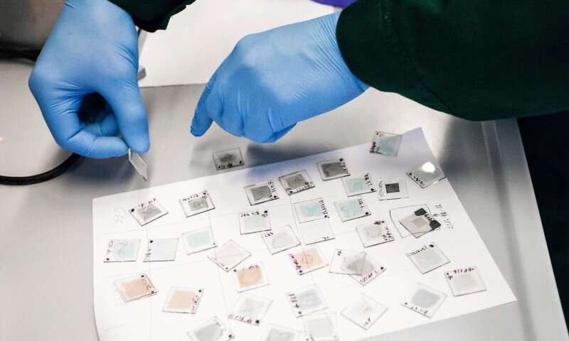 Material, synthesised by Kaunas University of Technology (KTU), Lithuania scientists self-assemble to form a molecular-thick electrode layer. Credit: KTU