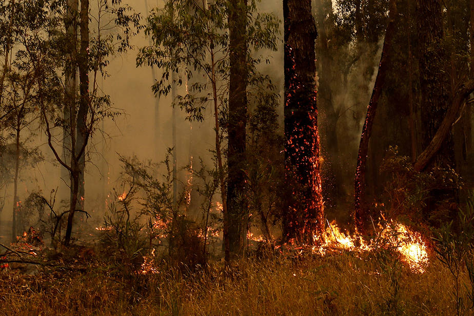 Spot fires flare up in Victoria, Australia, on Jan. 5, 2020. In the coastal town of Mallacoota, thousands of people fled to a beach to escape fires there and were being evacuated by navy ships. Credit: Darrian Traynor/Getty Images