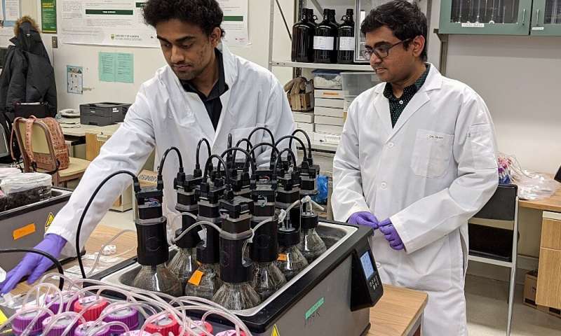 Environmental engineering master's student Bappi Chowdhury (left) and supervisor Bipro Dhar in the lab with a "digester" they are developing that uses microbes to convert a mixture of food waste and fat, oil and grease into renewable biomethane. Credit: Sean Townsend