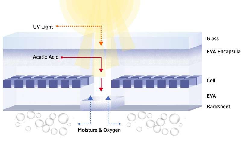 Although moisture and water wear away at the entire outer surface of backsheets, they crack more quickly in the area between solar cells where sunlight shines through. NIST researchers propose that degradation is worse there because acetic acid, which forms when sunlight hits the the rubbery upper layers, can pass between the solar cells towards the backsheets, causing them to decay from the inside out.