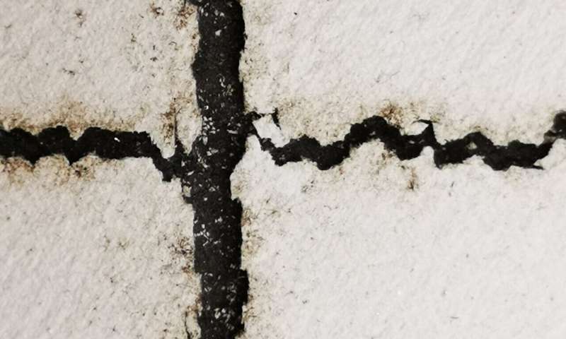 Cracks often form on solar panel backsheets in straight lines, along the gaps between solar cells.
