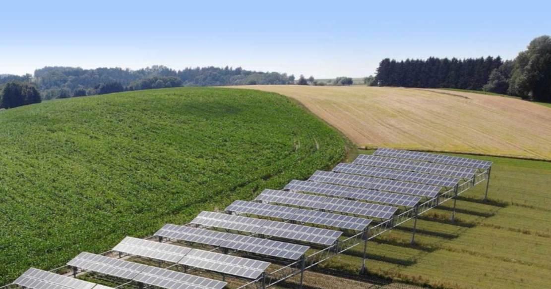 EU Group Promotes Agrivoltaics