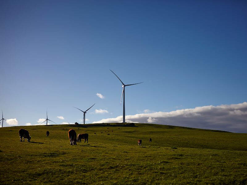Scotland currently has more than 3,200 operational wind turbines