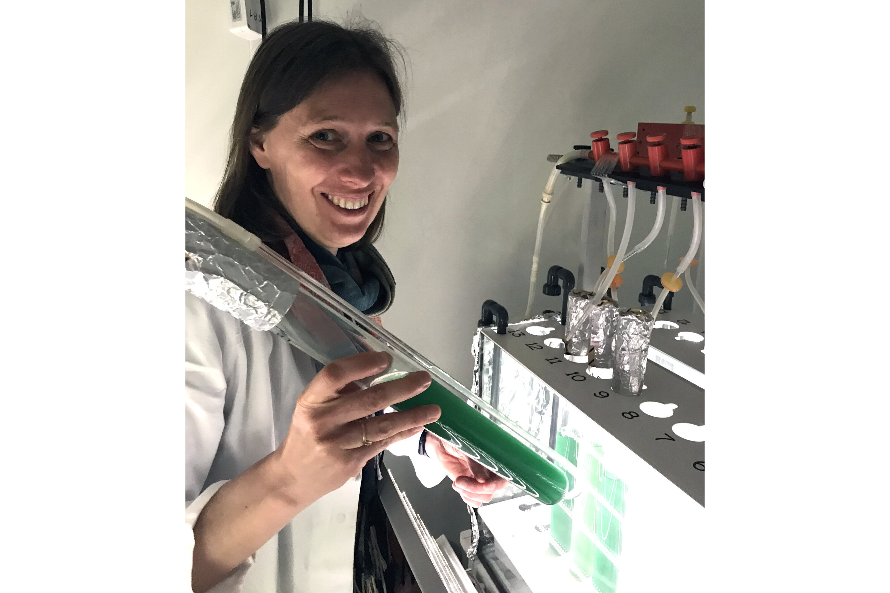 Dr. Kirstin Gutekunst heads the junior research group 'Bioenergetics in Photoautotrophs' at the Botanical Institute of Kiel University. Credit: Dr Jens Appel