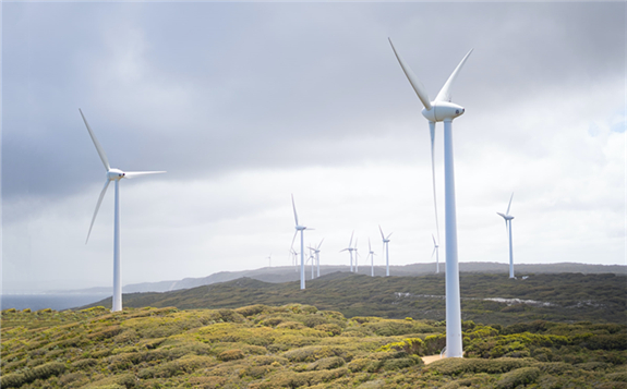 Warradarge Wind Farm features 51 wind turbines, with a hub height of 84m. Credit: Harry Cunningham.