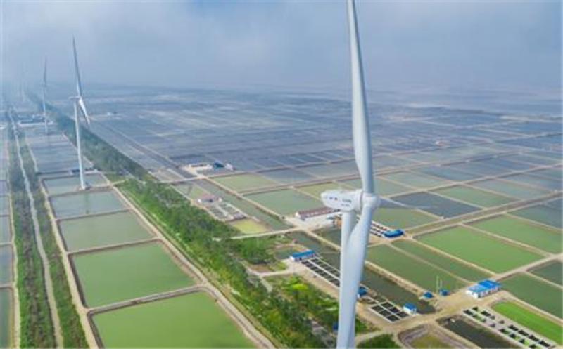 China aims to reach carbon neutrality by 2060 (pic credit: Goldwind)