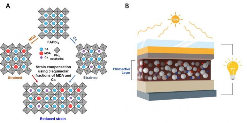 he inner structure of the newly-developed photoactive layer, as well as the working principle of the perovskite cell.  Image: Unist