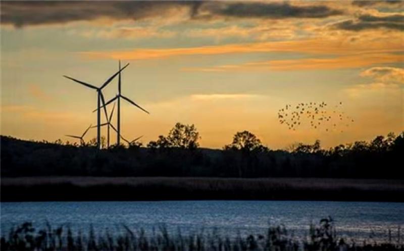 The wind power project is said to be one of the first subsidy-free wind farms in Canada. Credit: © Siemens Gamesa Renewable Energy, S.A.