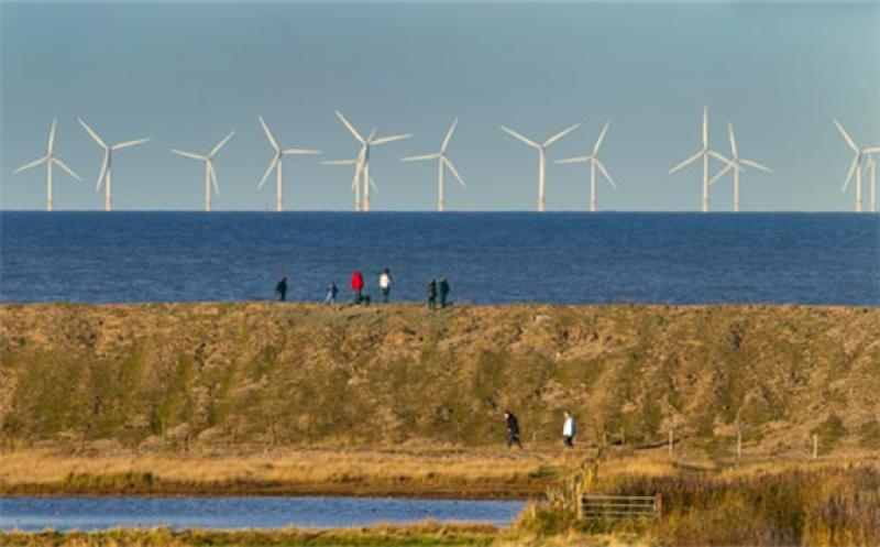 Wind turbines generated a record 17.3GW on Friday afternoon due to strong winds. Photograph: Nature Picture Library/Alamy