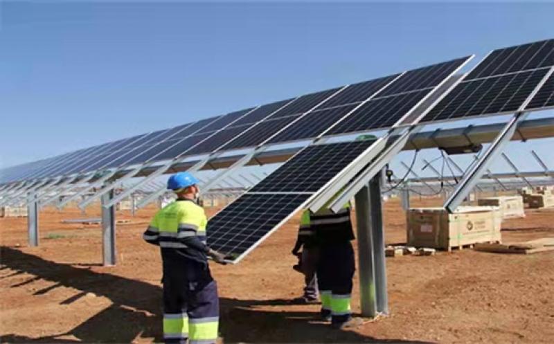 Endesa's solar farms in the Andalusian province of Seville are pioneering agrivoltaic projects.  Image: Endesa