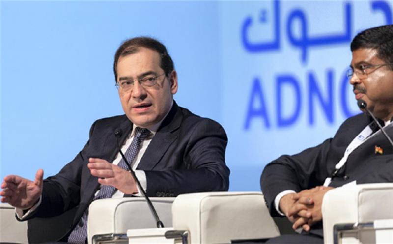 Six large oil and gas companies will drill 17 wells to explore for oil and gas finds, Egyptian petroleum minister Tarek El Molla said. Bloomberg