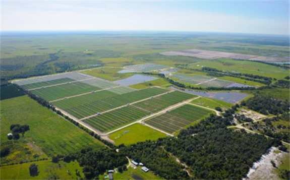 An existing FPL large-scale solar PV plant. Image: Doug Murray / FPL.