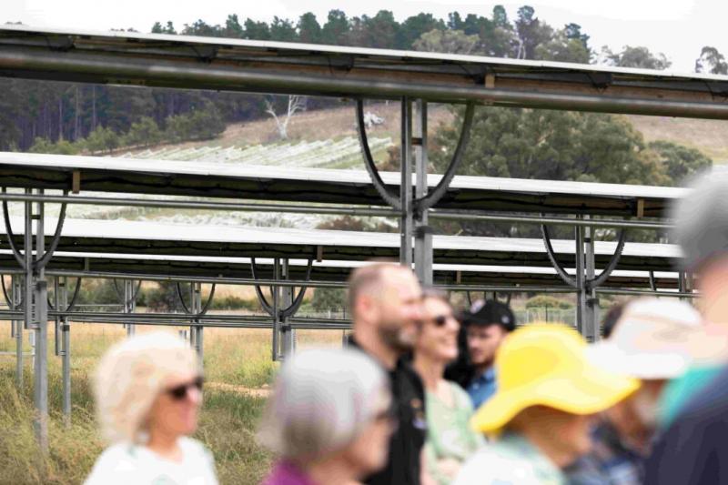 Australia’s largest community solar farm, SolarShare, switched on yesterday morning in the ACT, alongside the Mount Majura vineyards. Photos: Kerrie Brewer.