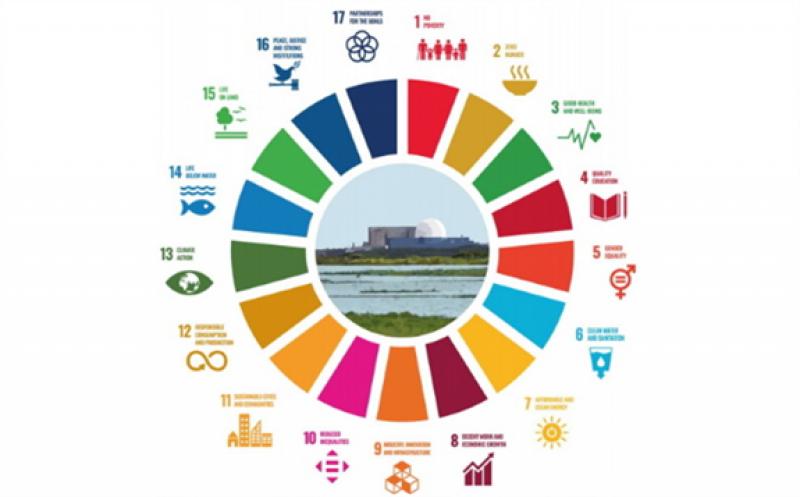 The 17 UN Sustainable Development Goals (Image: UNECE)