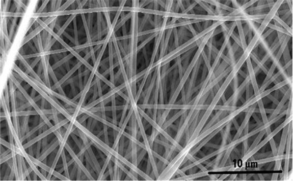 A scanning electron microscope image of a porous carbon nanomaterial useful for energy storage made from recycled PET plastic soda bottles.  Image: Mihri Ozkan & Cengiz Ozkan/UC Riverside