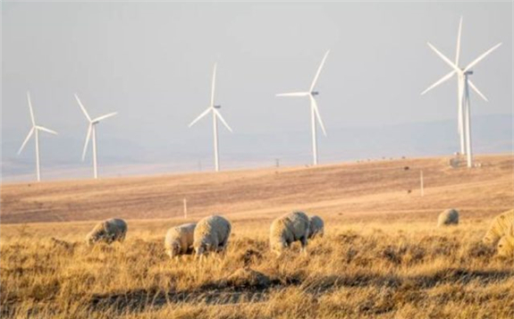 Golden Valley Wind Energy Facility. Source BioTherm Energy