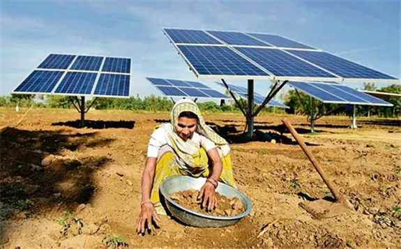 A farmer works near solar panels installed in the field to help pump water for irrigation purposes, in Gujarat’s Dhundi. (AFP)
