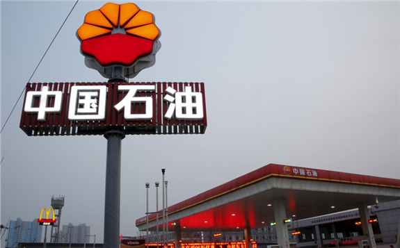 A PetroChina petrol station is pictured in Beijing, China, March 21, 2016. REUTERS/Kim Kyung-Hoon/File Photo