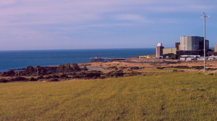  The existing Wylfa nuclear power plant, which is being decommissioned (Image: Magnox Ltd)