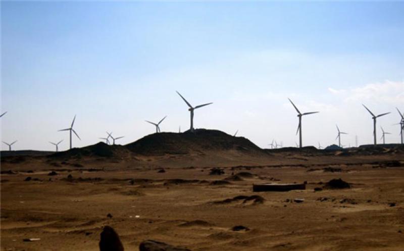 Wind farm in Egypt. Author: Gigi Ibrahim. License: Creative Commons, Attribution 2.0 Generic