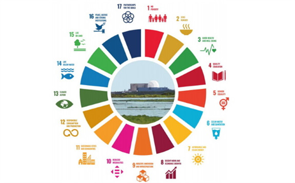 The 17 UN SDGs (Image: UNECE)