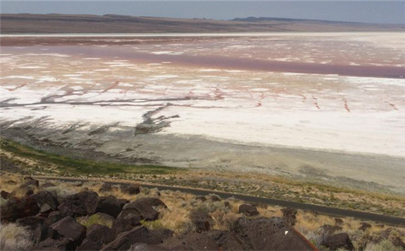 A thick crust of salt remains after most of Lake Abert dried up in 2014.  Vince Patton / OPB
