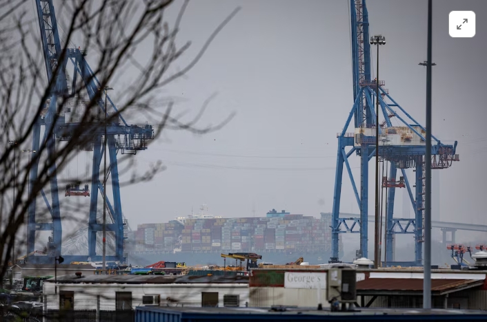 Baltimore Port Closure Could Dent US Coal Export Volumes, EIA Says